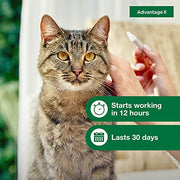 Advantage II Large Cat Topical Flea Treatment & Prevention, 2ct