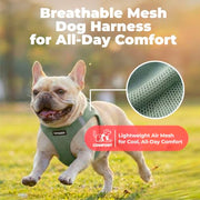 Voyager Step-in Air Dog Vest Harness - Moss Green, Small | 14.5-16" in Chest, Reflective Bands, All Weather Breathable Air Mesh, Cats Compatible, Lightweight, Fast Drying