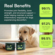 Wuffes Advanced Hip & Joint Chews for Small & Medium Breed Dogs, Vet Recommended, Glucosamine, Chondroitin, MSM, Green-Lipped Mussel & Hyaluronic Acid Supplement, Supports Mobility, 60 Pork Chews
