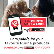 Dentalife Purina Daily Dental Chews for Large Dogs, 18 ct Pouch | Chewy, ridged texture in a tasty chicken flavor, helps reduce tartar buildup and help freshen breath