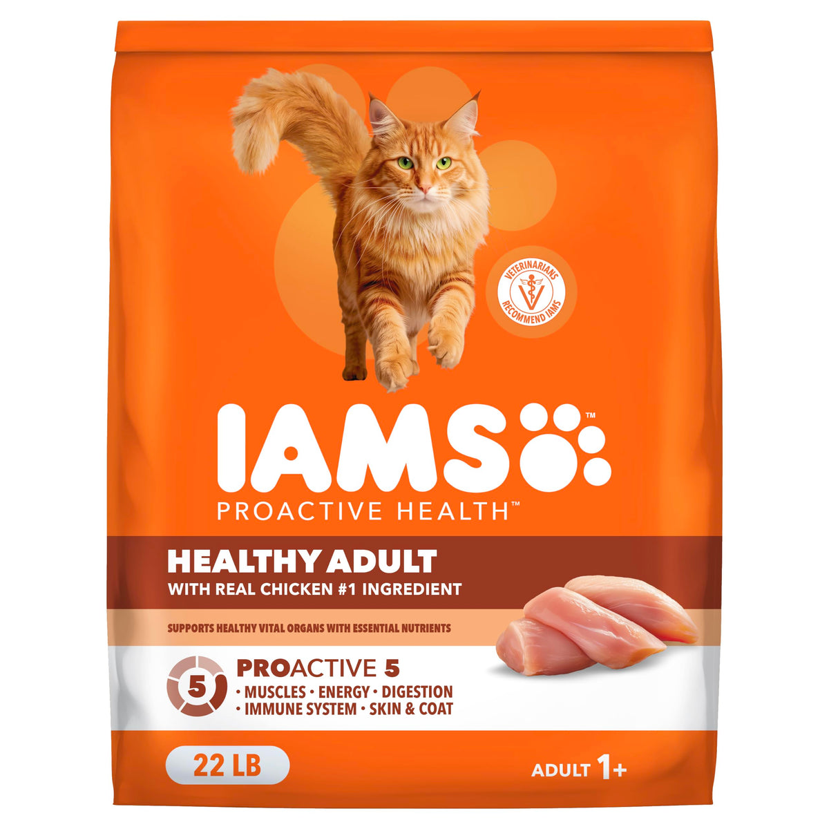 IAMS Proactive Health Healthy Adult Dry Cat Food, Chicken, 22 lb | Veterinarian-recommended, Real chicken #1 ingredient, chicken & egg protein, wholesome grains for energy, supports muscles