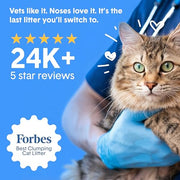 Boxie Probiotic Clumping Cat Litter 40+ Day Odor Control Dust Free 16 lb | Hard Flat Top clumps stay on top for fast scooping and less scrubbing; no added fragrance, fillers, or harsh chemicals