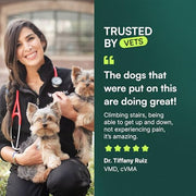 Wuffes Advanced Hip & Joint Chews for Small & Medium Breed Dogs, Vet Recommended, Glucosamine, Chondroitin, MSM, Green-Lipped Mussel & Hyaluronic Acid Supplement, Supports Mobility, 60 Pork Chews