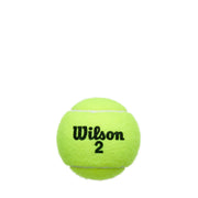 WILSON Championship Tennis Balls