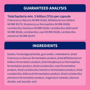 Nutramax Proviable Probiotics for Dogs & Cats, Sprinkle Capsules, 30ct | Probiotics for Cats and Dogs, Plus Prebiotics, Daily Gut Health Support Supplement, Multiple Strains, Sprinkle on Food