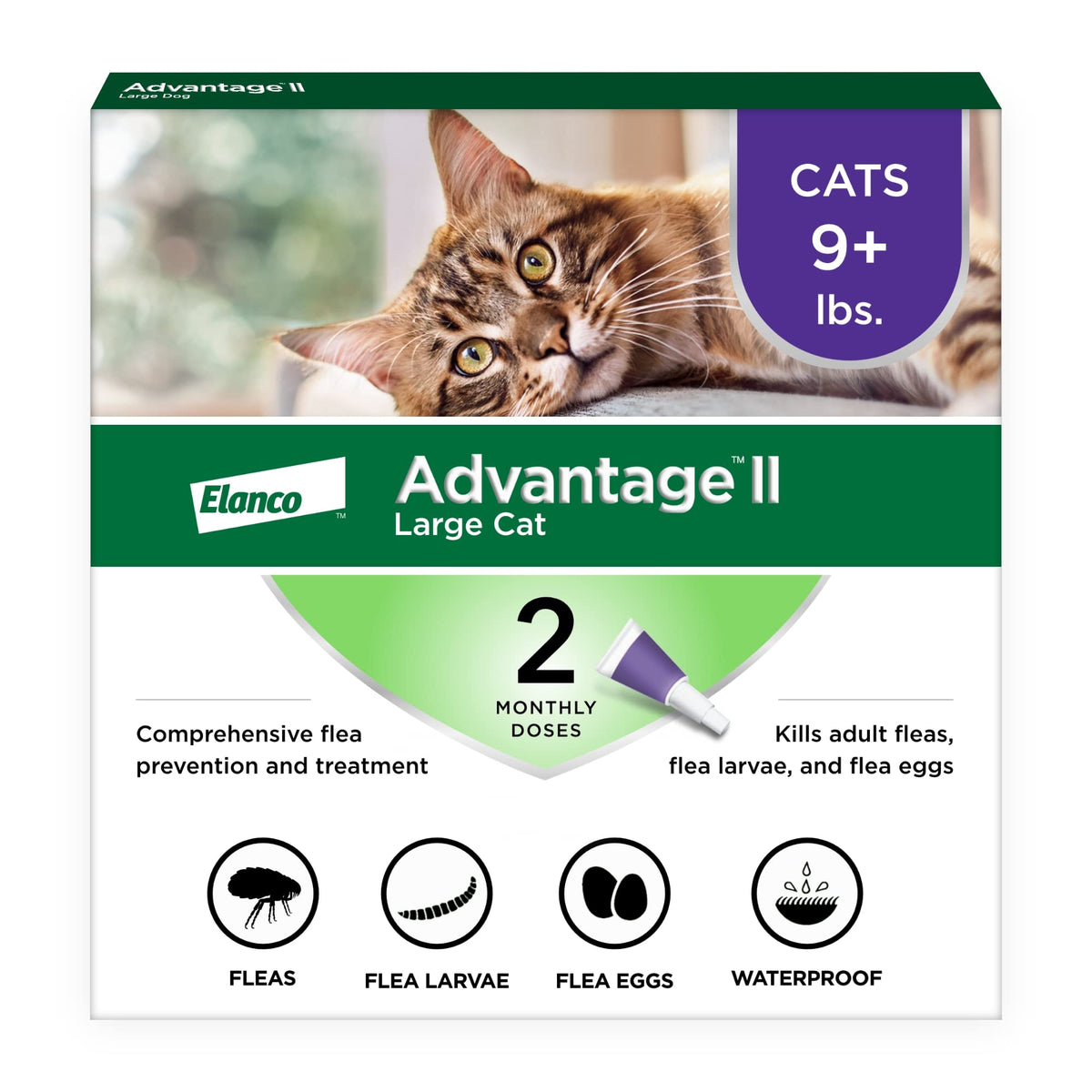 Advantage II Large Cat Topical Flea Treatment & Prevention, 2ct