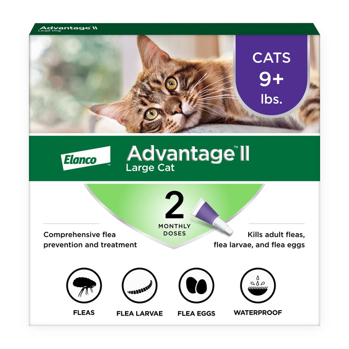 Advantage II Large Cat Topical Flea Treatment & Prevention, 2ct