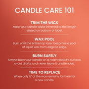 Yankee Candle Spiced Pumpkin Scented Candle, 22oz Large Jar | Up to 150 Hour Burn Time, Room Filling Fragrance, Long-Lasting Scent, Premium Plant Wax Blend, Consistent Burn, Giftable