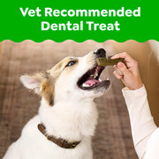 Greenies Teenie Original Natural Dental Dog Treats, Chicken, 43 Count | Veterinarian-recommended, supports oral health & freshens breath, clean to gumline, for dogs 5-15 lbs, chicken flavor