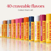 Burt's Bees 100% Natural Moisturizing Lip Balm (Original Beeswax) | Lip Moisturizer with Beeswax, Tint-Free, 100 Percent Natural Origin Conditioning Treatment, Easy to Take Anywhere
